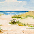 Summer on Cape Cod