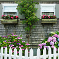 Summery Nantucket